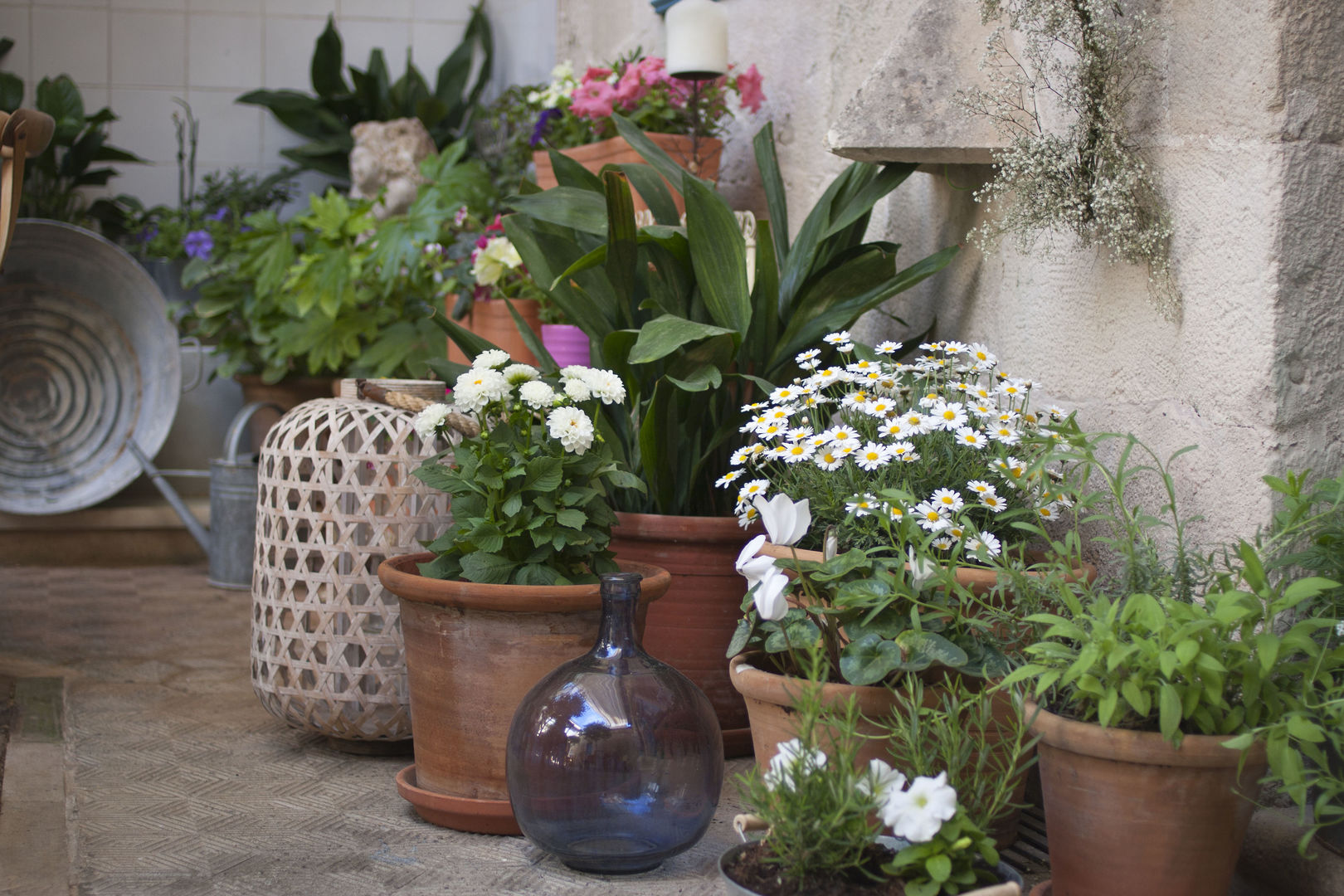Jardí De Ses Bruixes