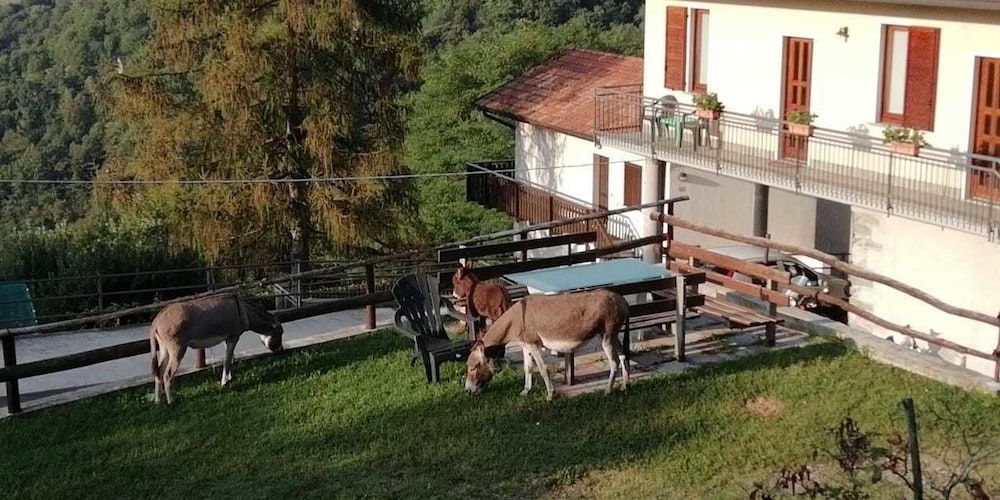 Agriturismo Runchee