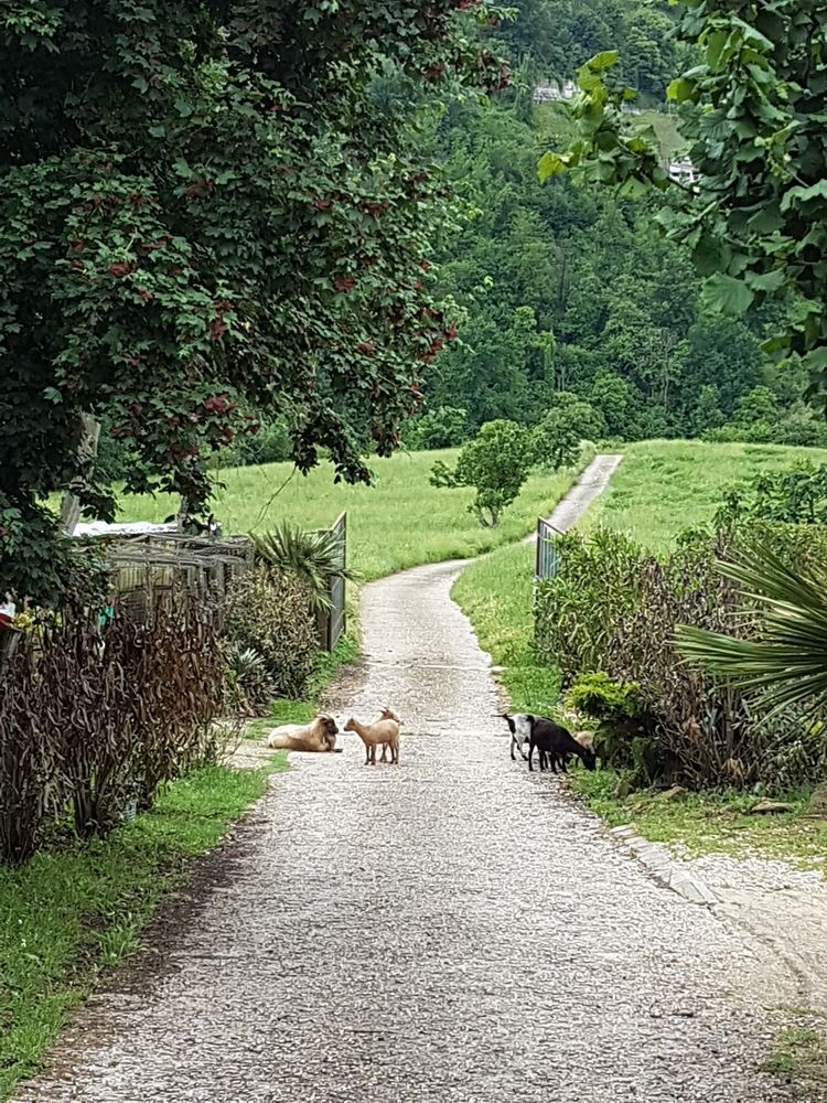Agriturismo Cisogna