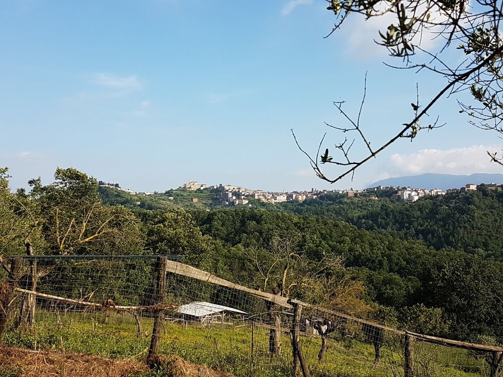 Agriturismo Cisogna