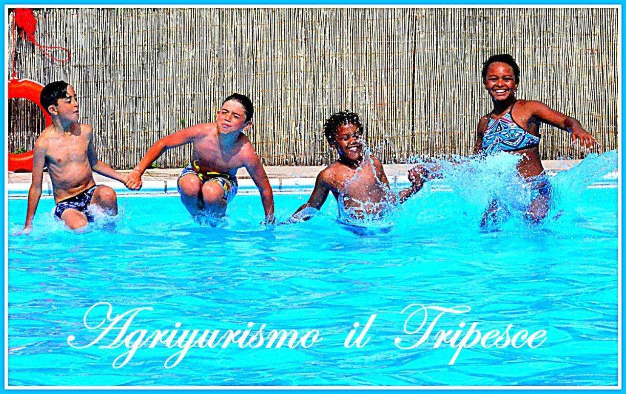 Agriturismo Il Tripesce