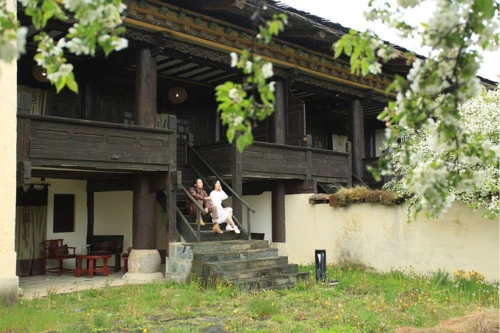Banyan Tree Ringha