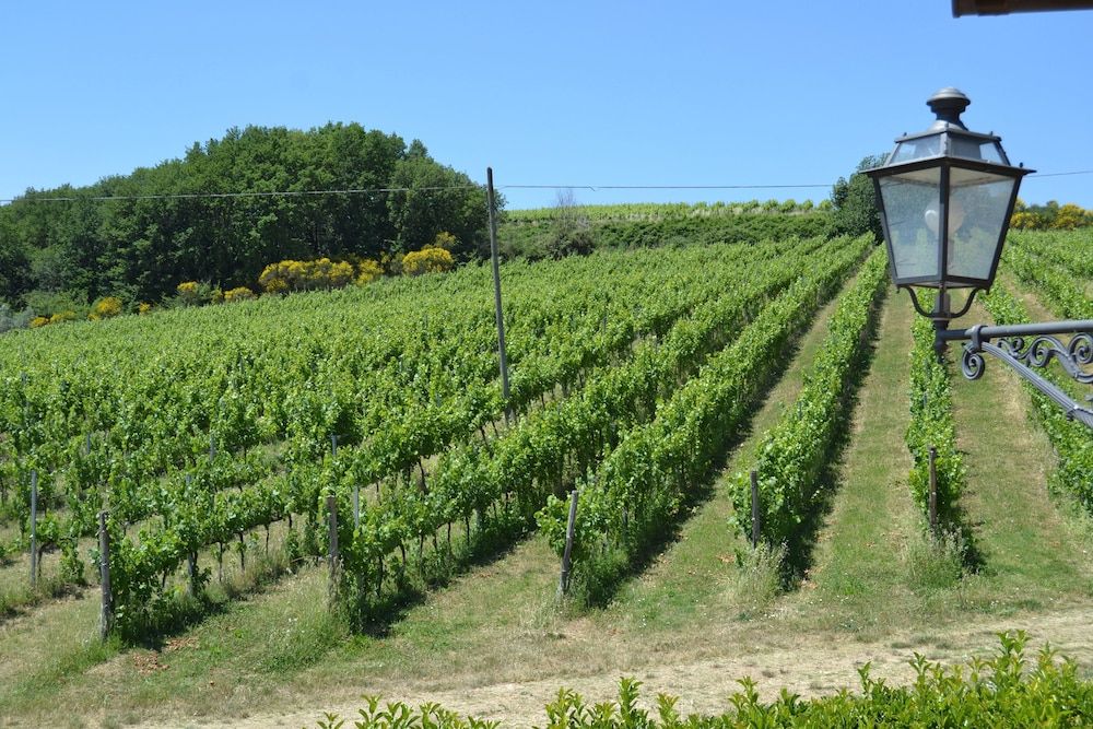 Tenuta Pizzogallo