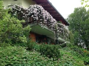 Il Giardino dell'Artemisia