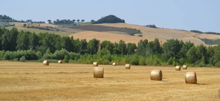 Agriturismo Le Spighe