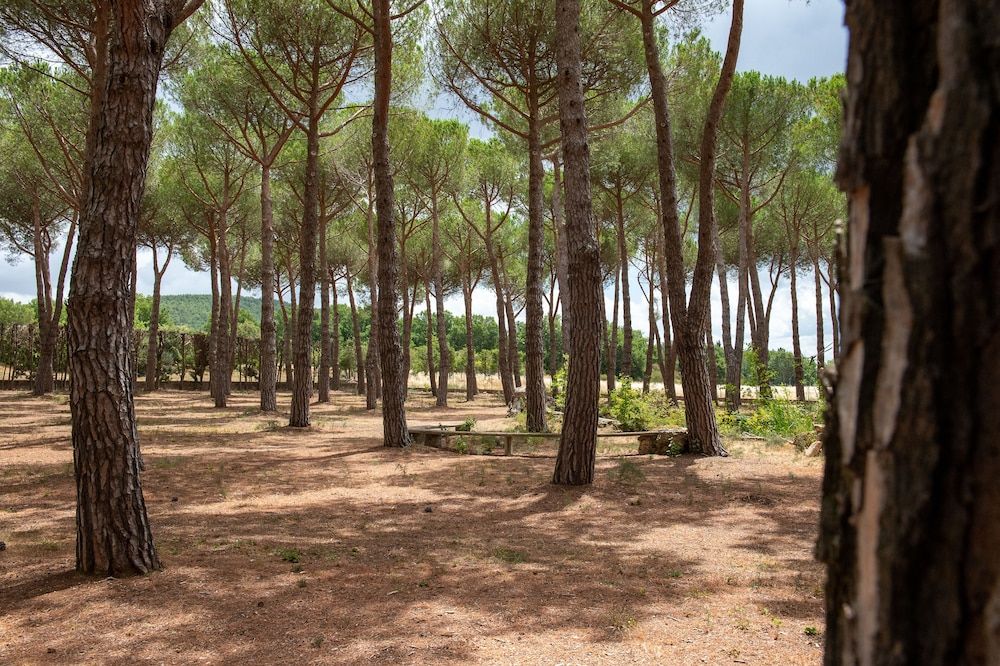 Hotel Villa Dei Pini