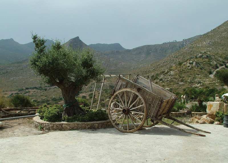 Sa Duaia