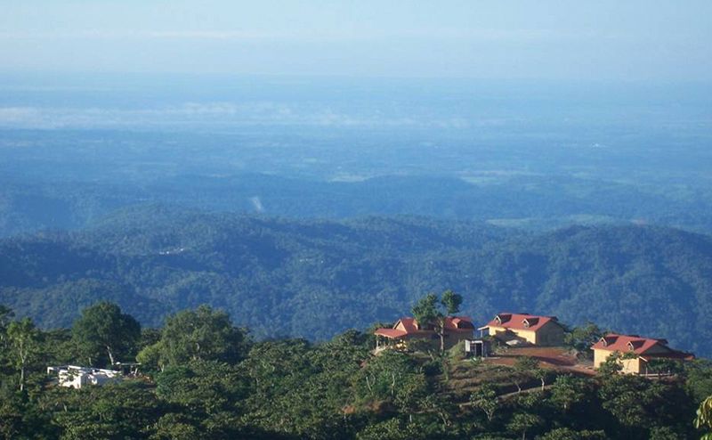 Finca Hamburgo
