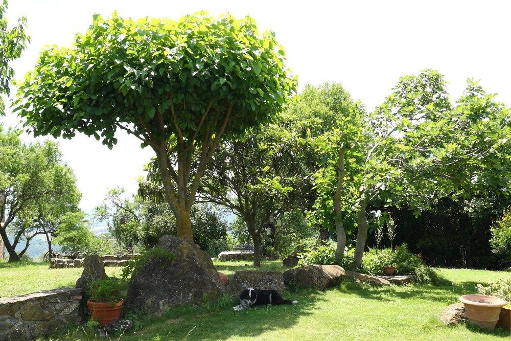 La Casetta nel Bosco