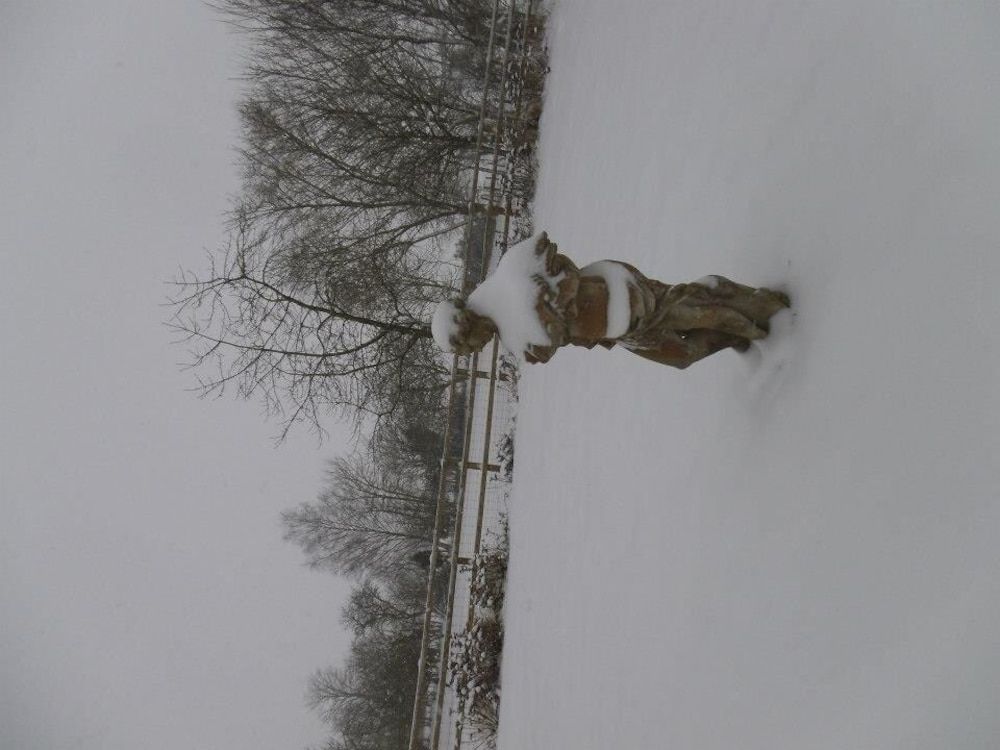 Buscot Manor Bed & Breakfast