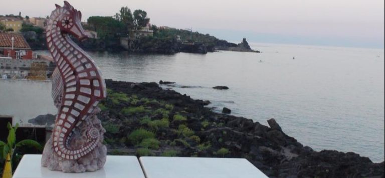 Il Cavalluccio Marino