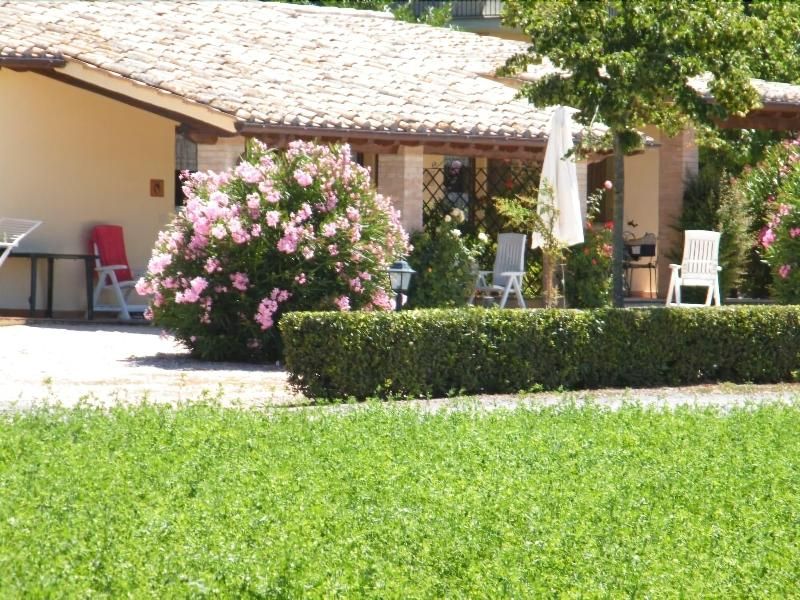 Agriturismo Casale Del contadino