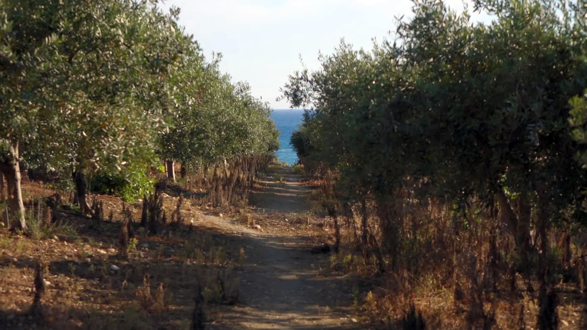 Menfi Beach Resort