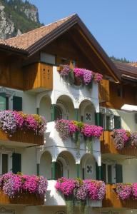 Alpotel Dolomiten