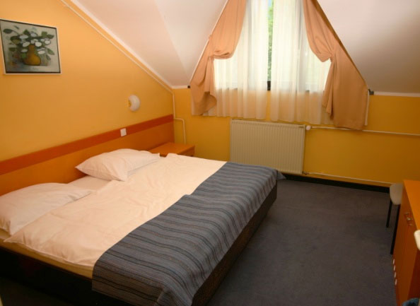 Hotel Bor