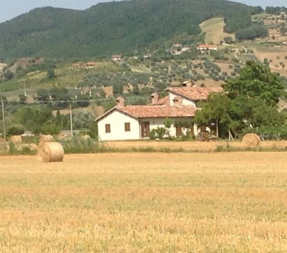 Fontecese