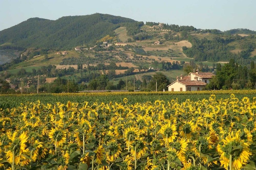Fontecese
