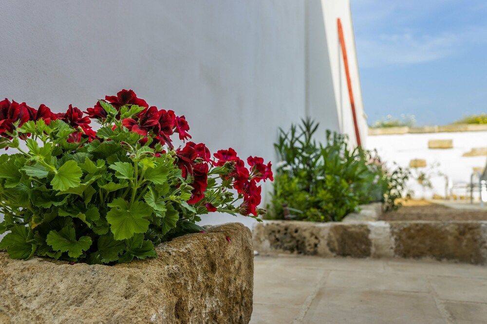 Luce Boutique B&B
