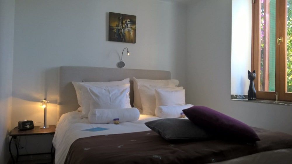 Birdcage Resort Gay Lifestyle Hotel