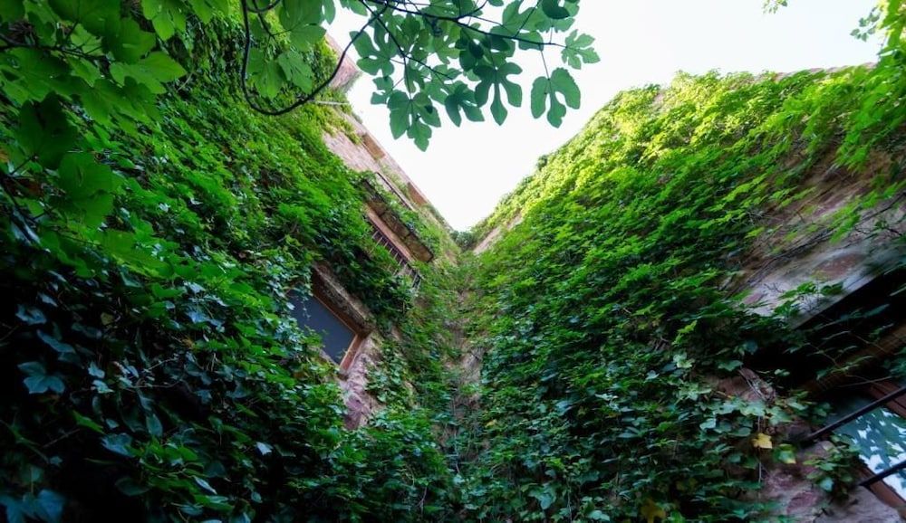 Hotel El Jardin Vertical