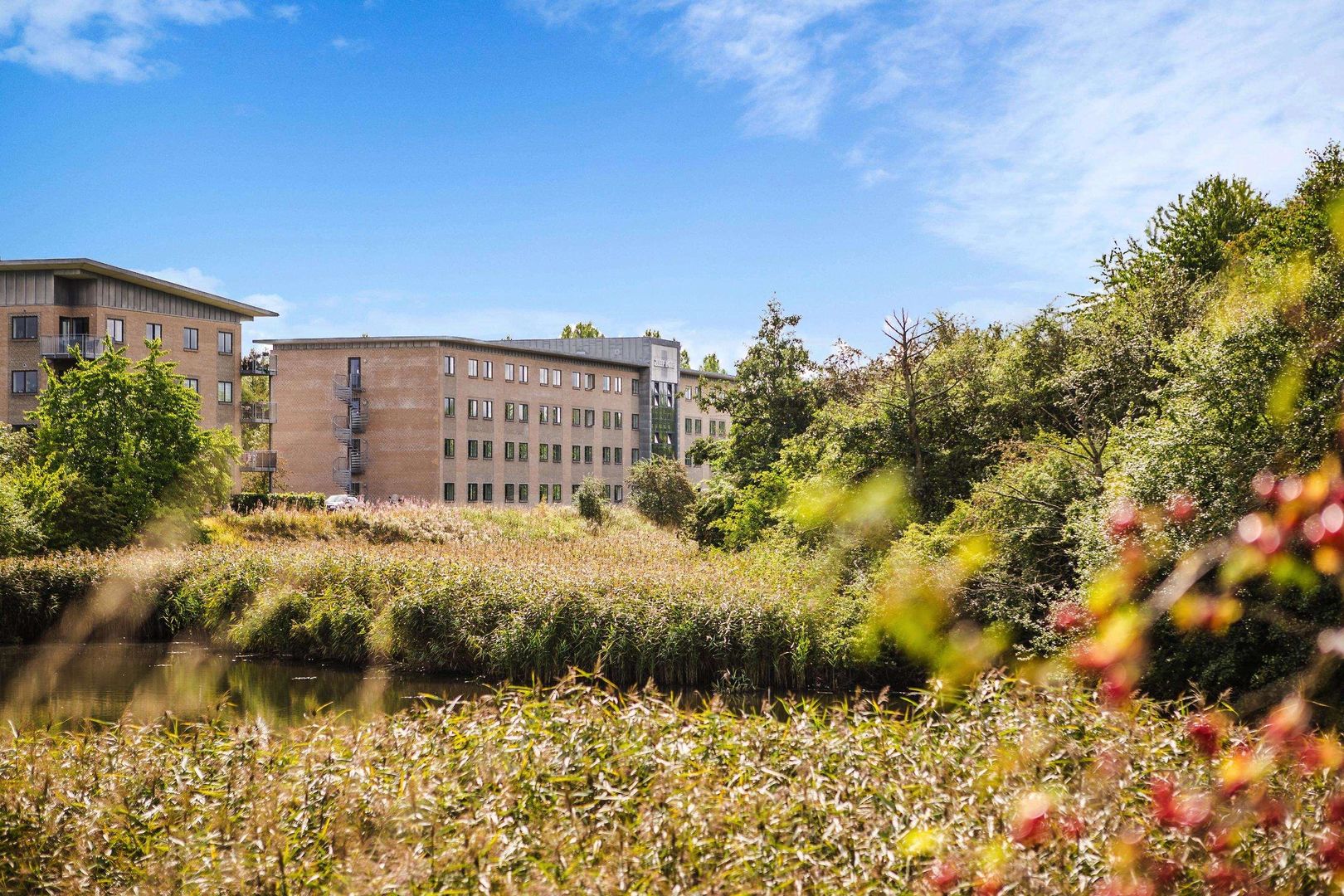 Four Points Flex by Sheraton Ballerup