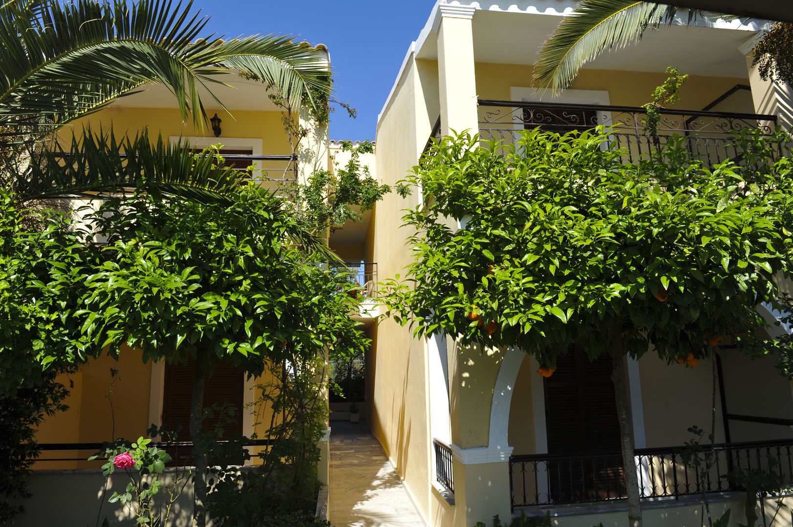 Ilena Hotel