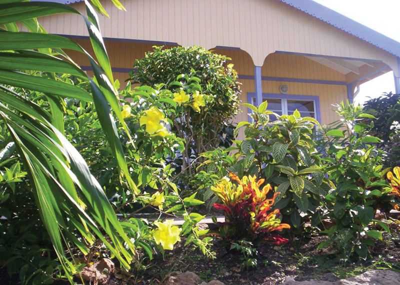 Serendipity Cottages
