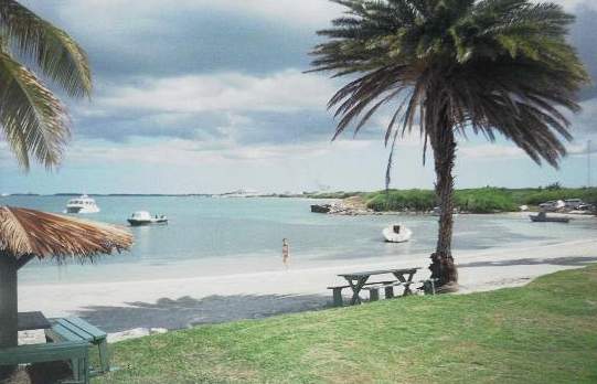 Antigua Beachcomber