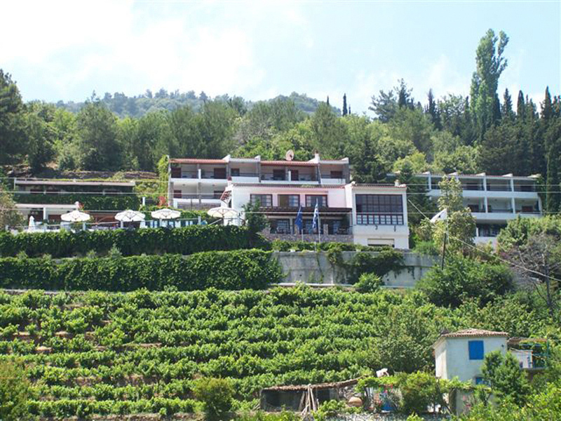 Daphne Hotel