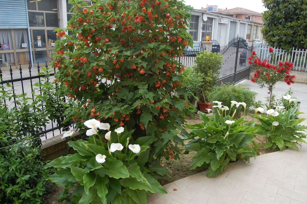Bed and Breakfast La Tartaruga
