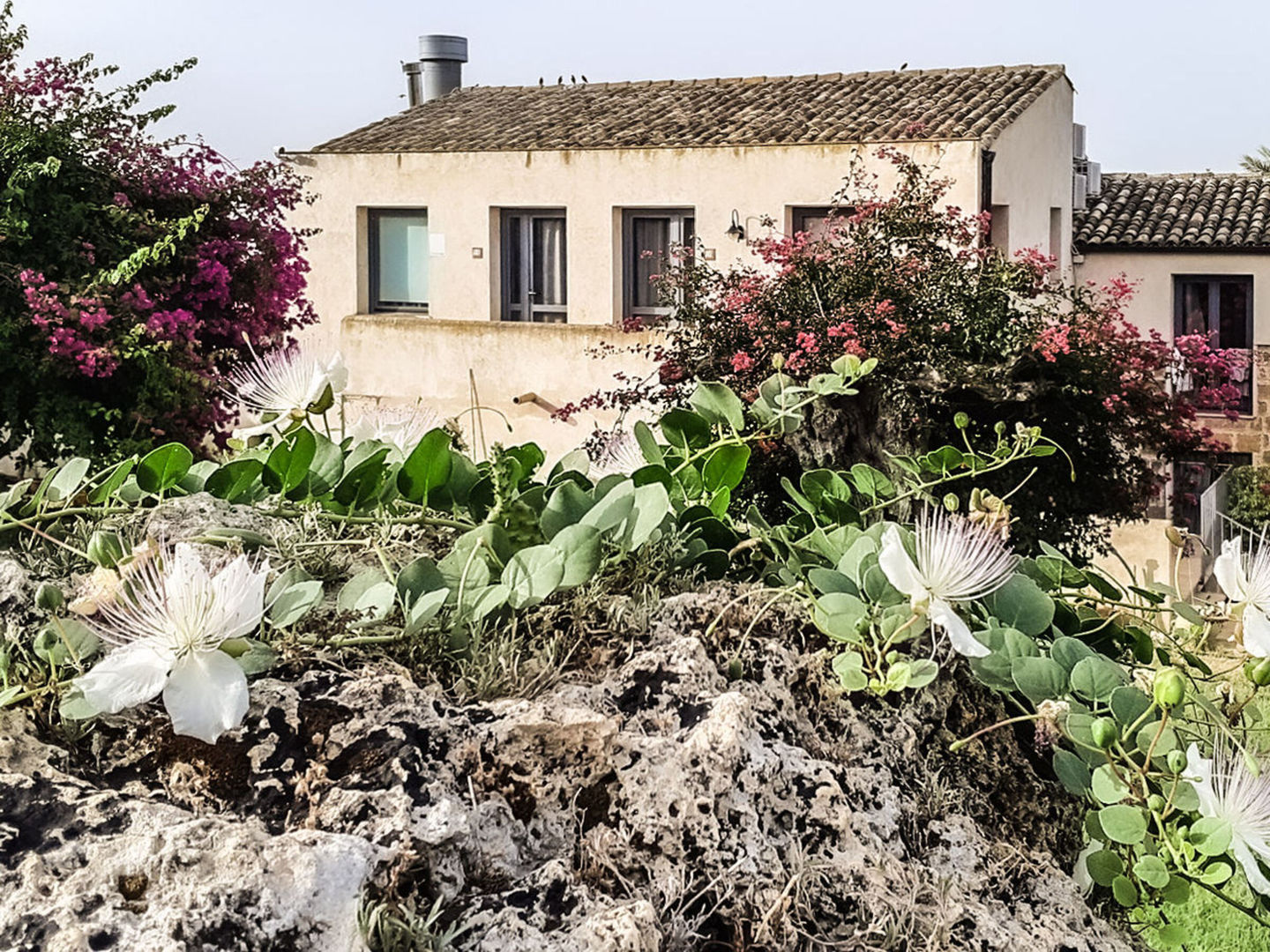 Relais Casa Mirabile