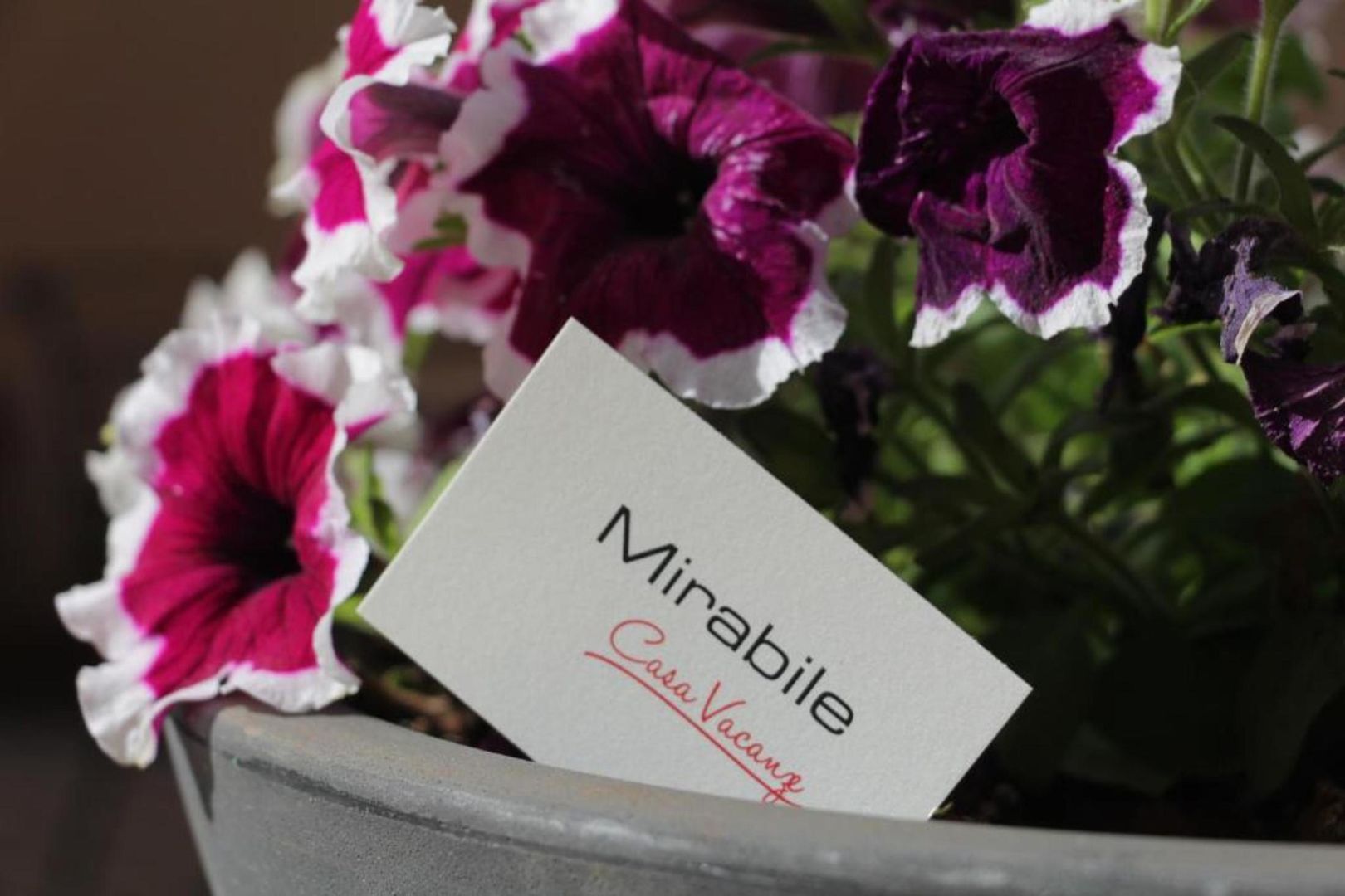 Relais Casa Mirabile