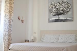 B&B Losa