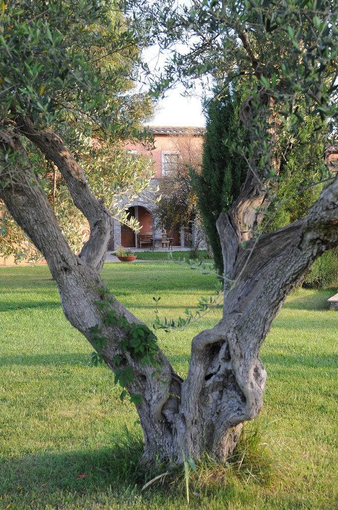 Relais Le Ginestre