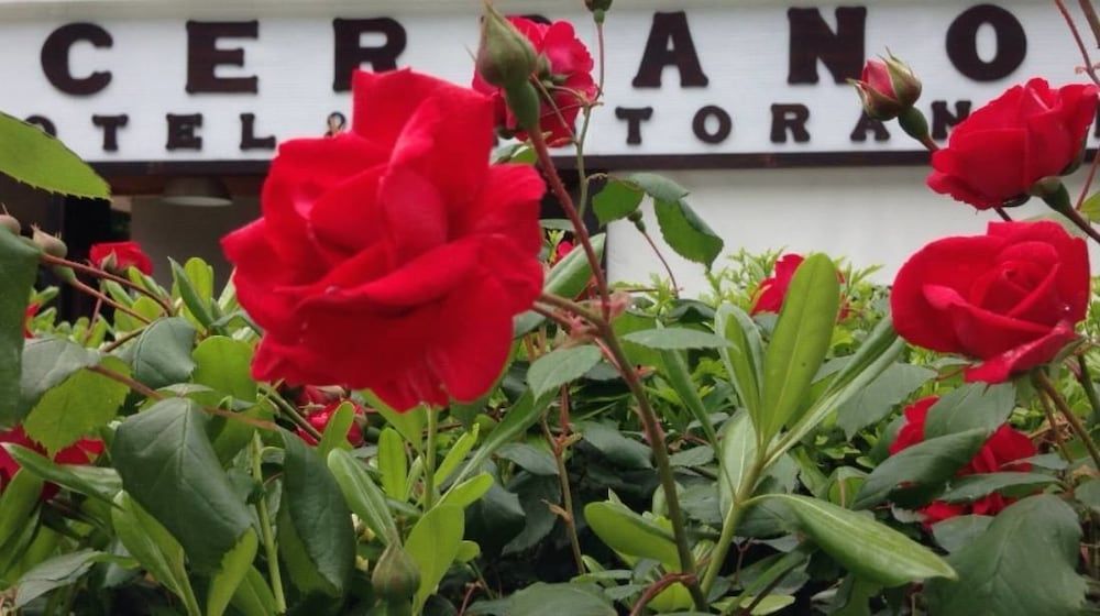 Hotel Cerrano