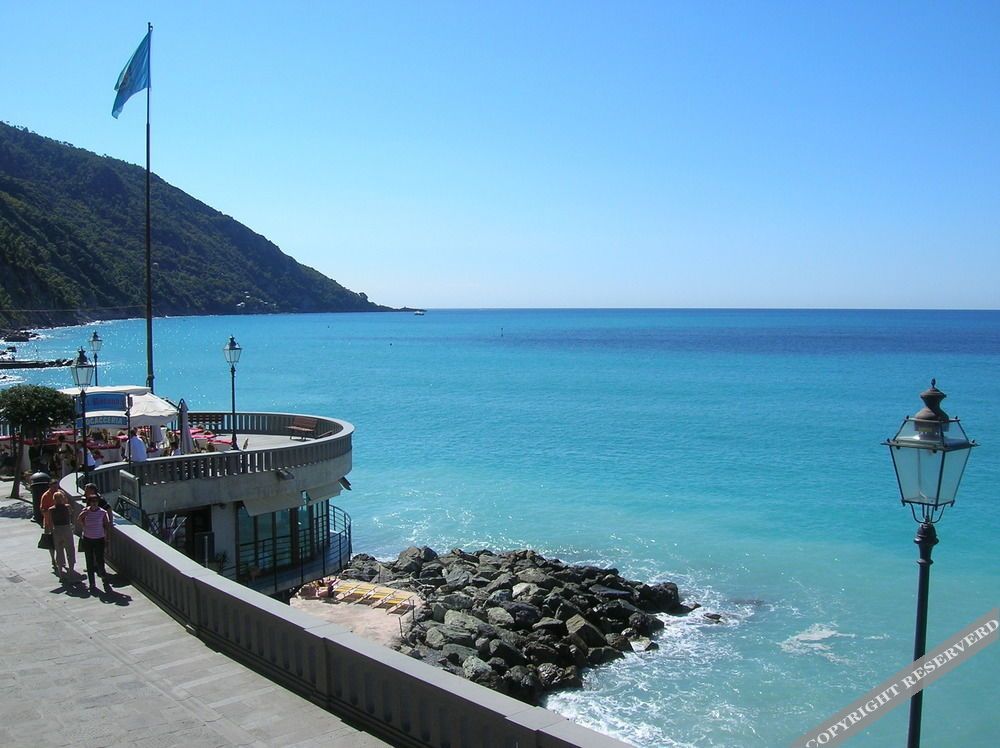 Casmona
