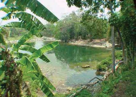 Nututun Palenque