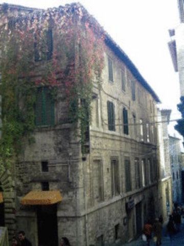 Priori Secret Garden