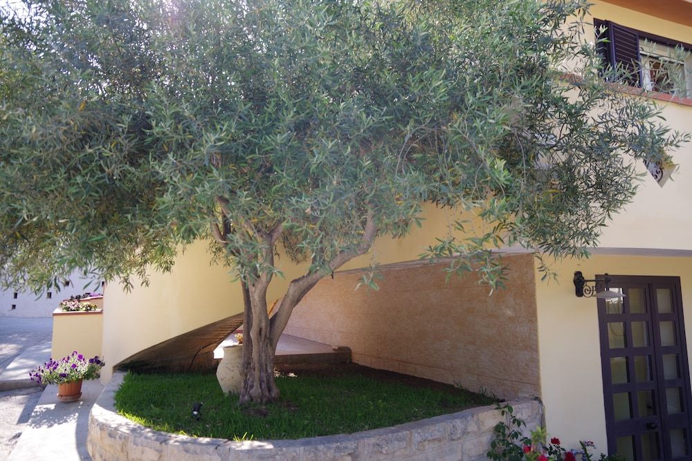 Balconcino Sugli Ulivi