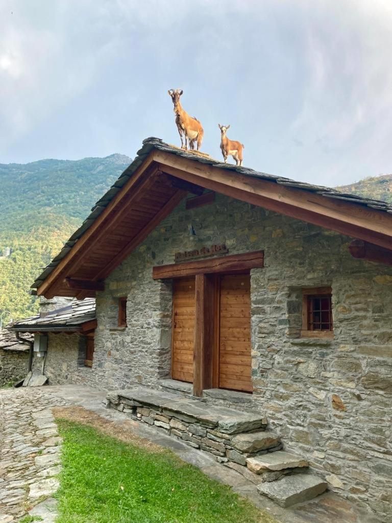 La Maison De Noe