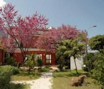 Hotel Italia Beach Hotel