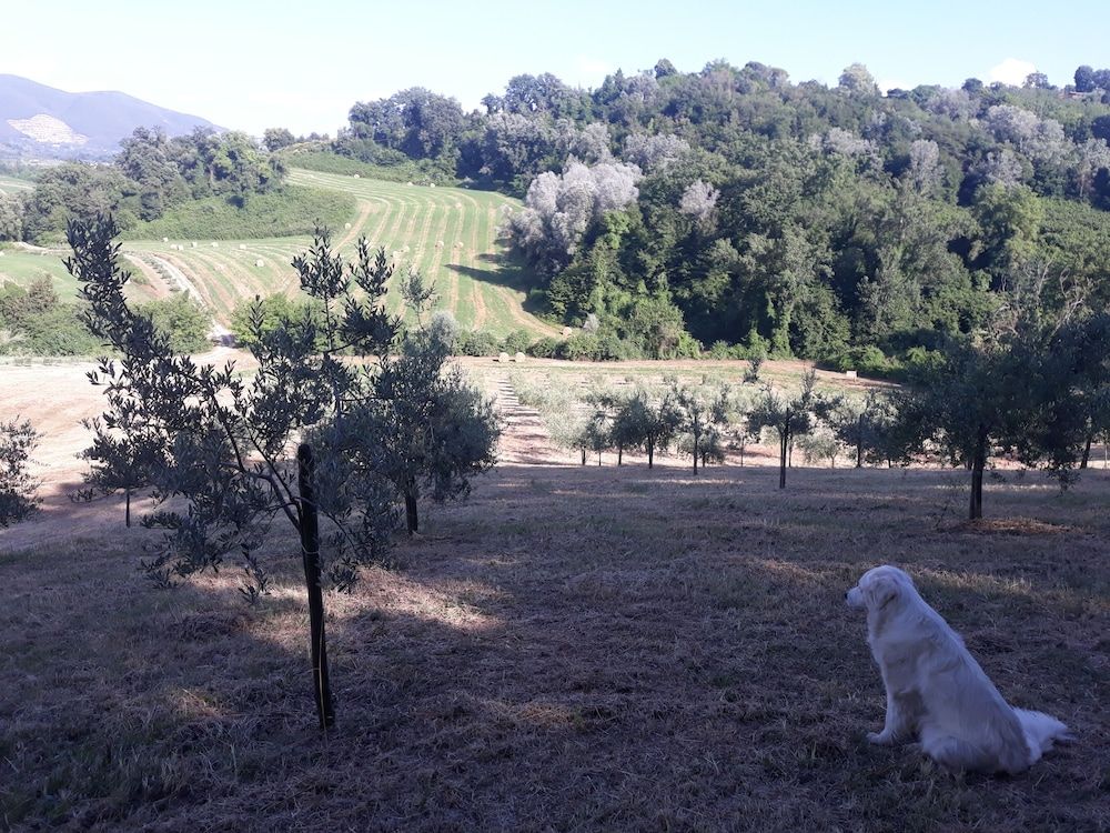 Agriturismo Valle D'Ambrosia