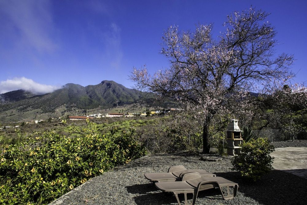 Bungalows Los Guanches
