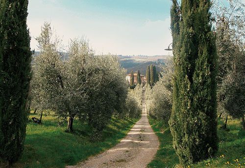 Villa de' Cerchi