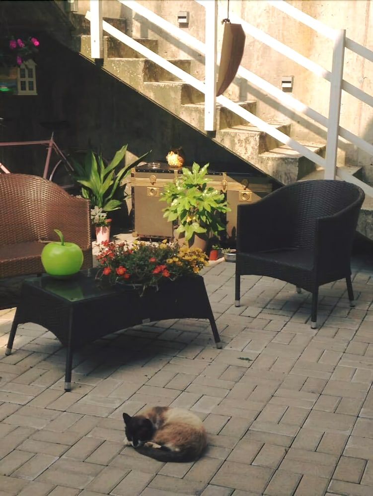 Bed And Breakfast Le Hibou