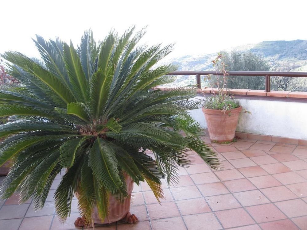 B&B Li Fringi