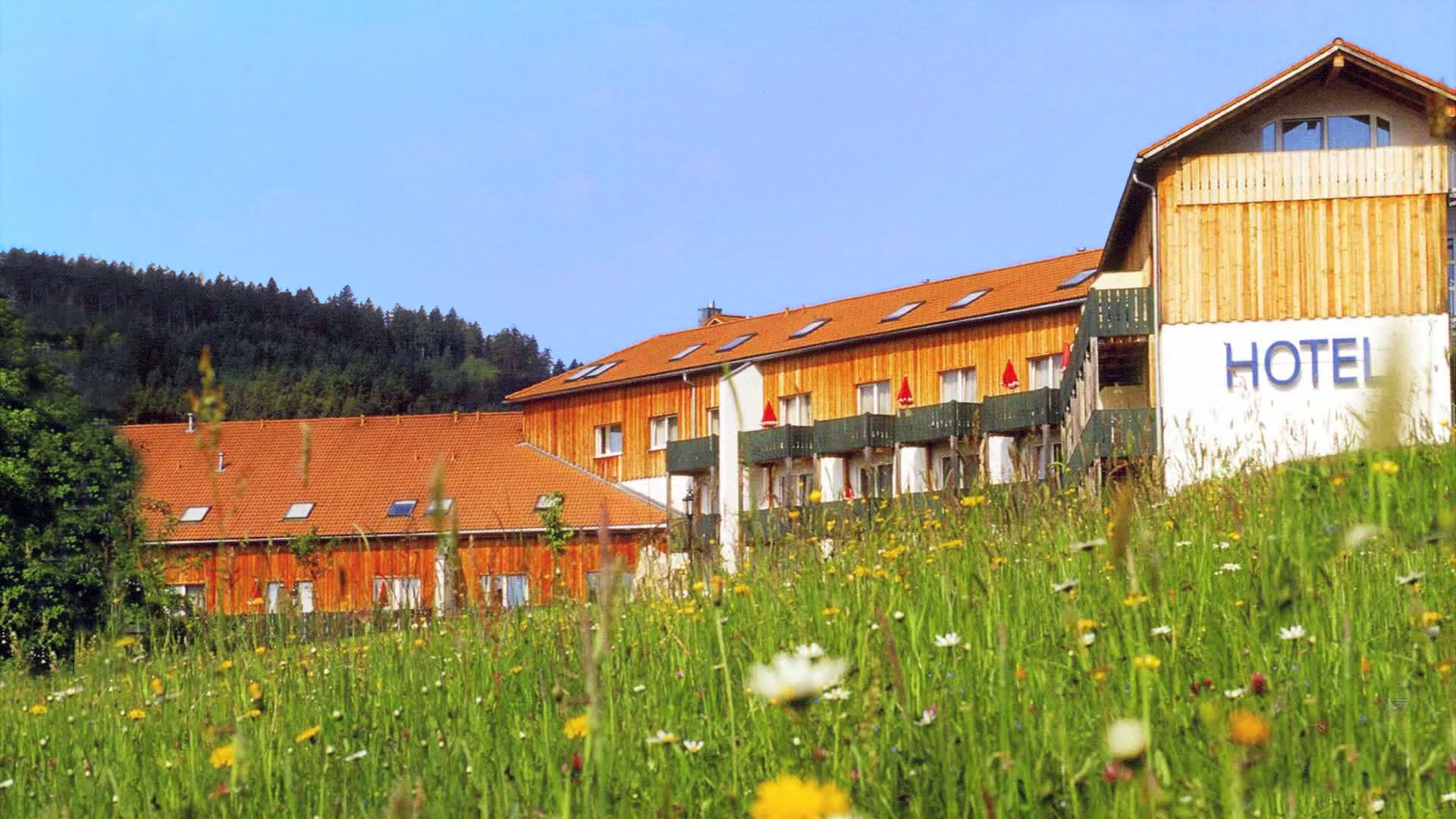 Hotel am Pfahl