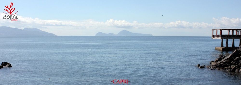 Coral Rooms