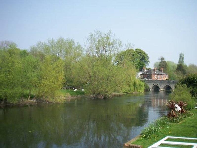 Rose & Crown