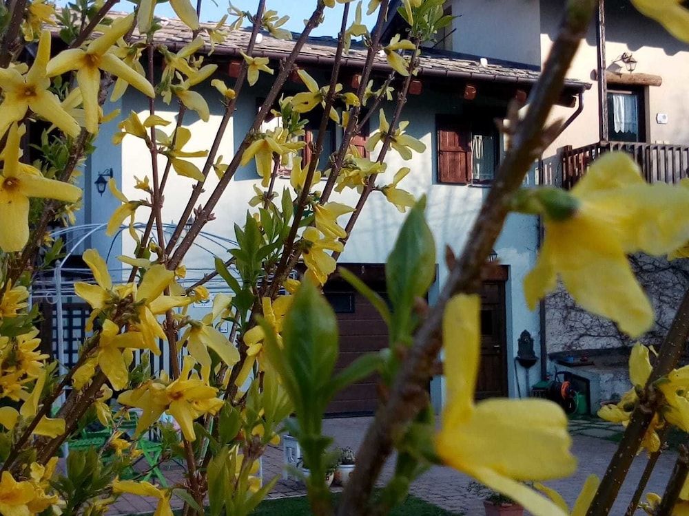 B&B Alla Borgata